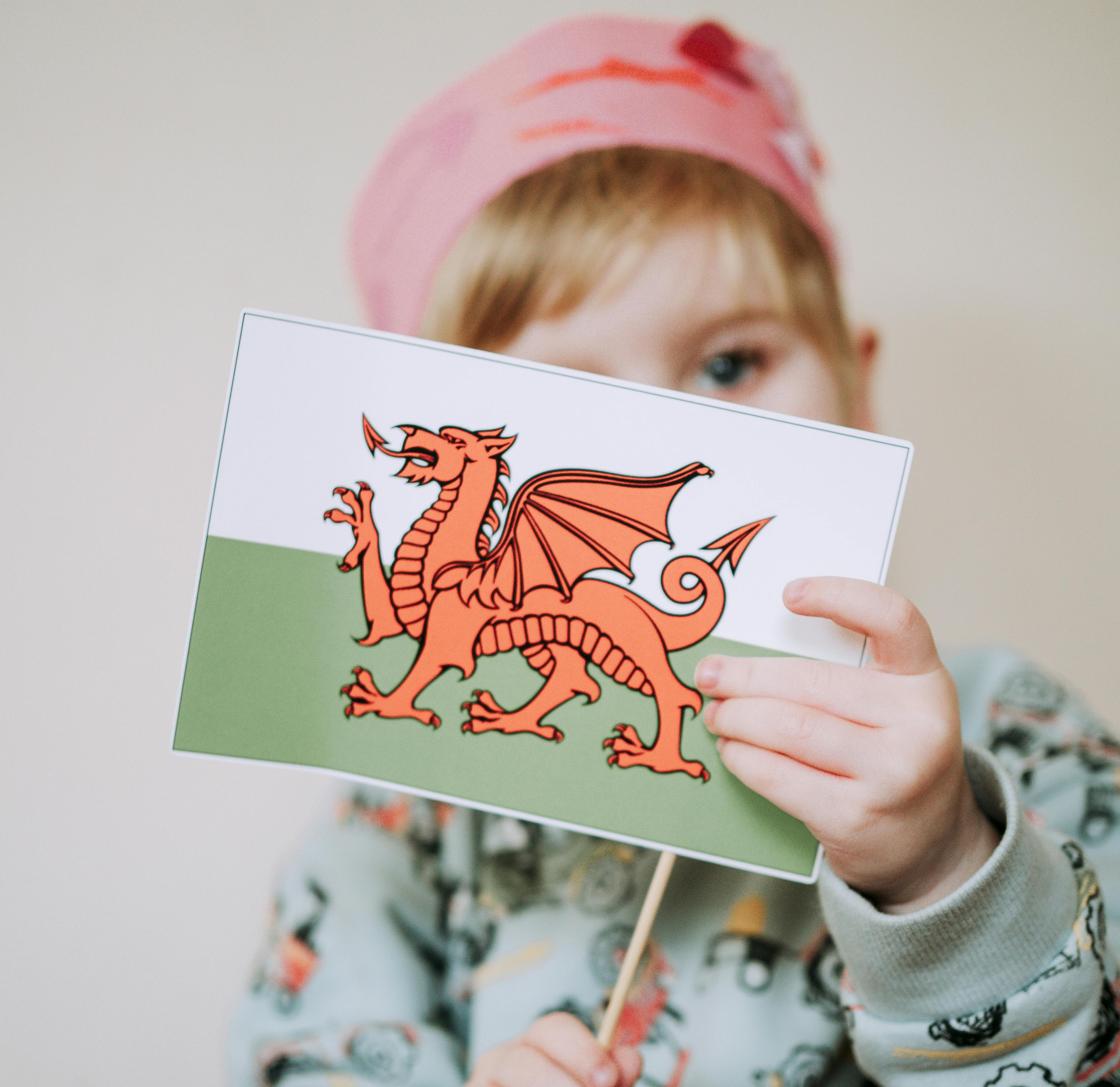 For Wales do not see England: why comparisons of public spending and services are flawed